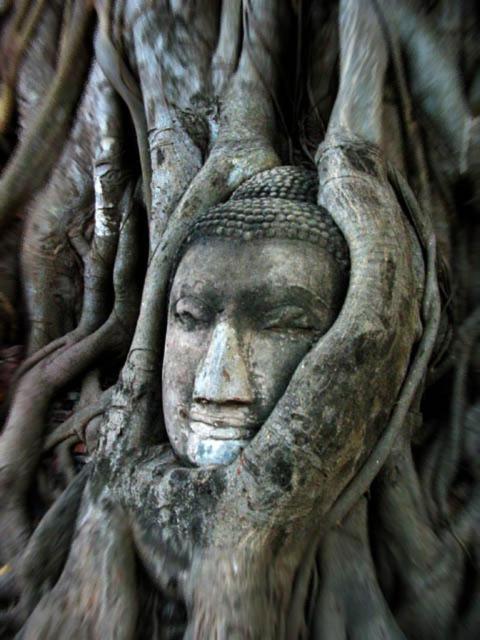 Somjai Place Ayutthaya Phra Nakhon Si Ayutthaya Exterior foto